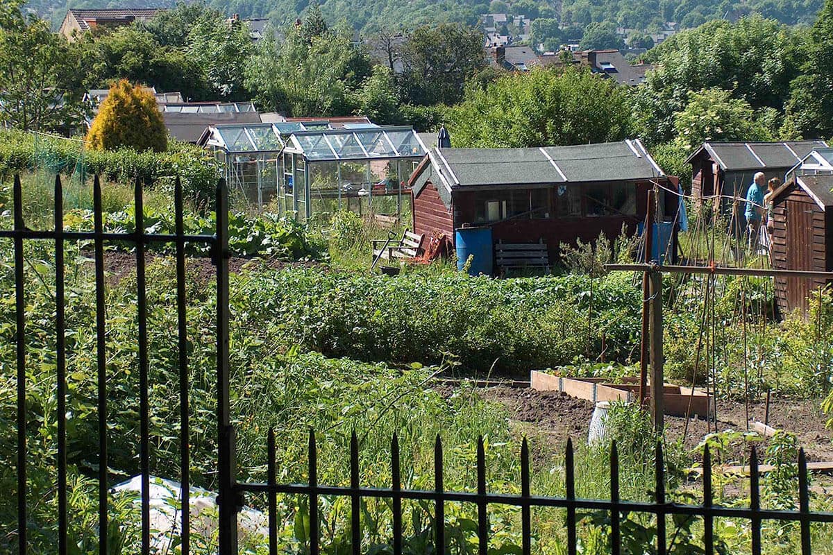 The World’s Largest Allotment is in… Sheffield?